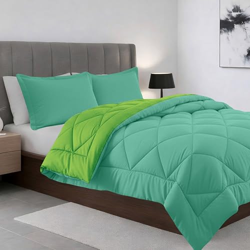 Elegant Comfort All Season Goose Down Alternative Reversible 2-Piece Comforter Set- Available in and Colors, Twin/Twin XL, Aqua/Lime
