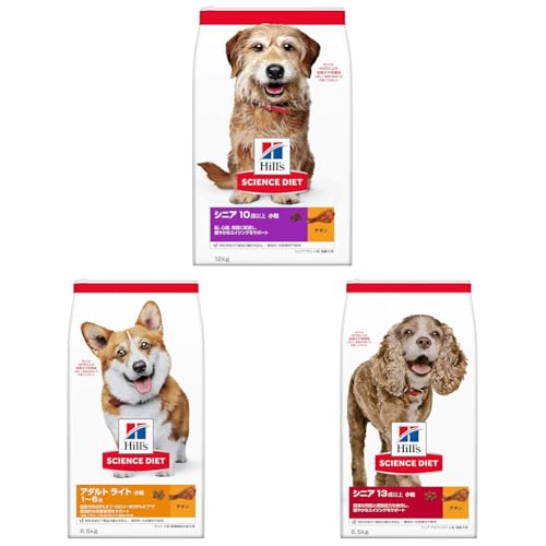 yZbgzqY TCGX_CGbg hbOt[h VjAvX  10Έȏ `L 12s p hC + qY TCGX_CGbg hbOt[h A_g Cg 1~6  `L 6.5s p hC 얞 + qY