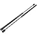 Red Hound Auto Pair 20 Inch 10 lbs Gas Prop Lift Springs Rod Struts Heavy Duty Tool Box Lid Top RV - Compatible with 10mm Ball Mounts