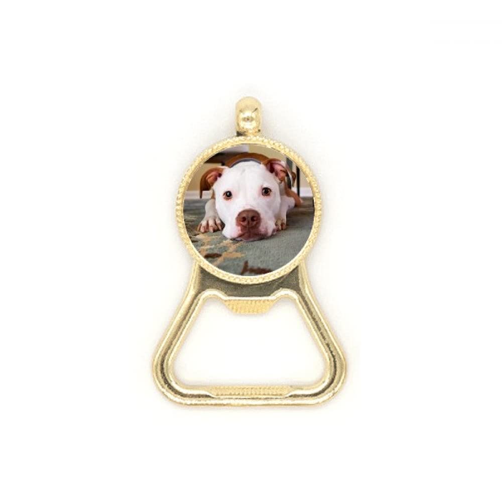 Porte-clés bouledogue blanc acier inoxydable pour clé voiture