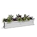 Mayne Fairfield 5824W Window Box Planter, 5-Foot, White