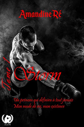 Storm - Tome 1: Dark Romance livre En ligne