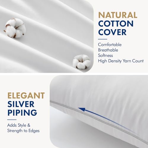 Image of MIULEE 12x20 Pillow Inserts Pack of 2, Throw Pillow Inserts with 100% Cotton Cover, Rectangle Decorative Pillow Inserts for Sofa Bed Couch Bench