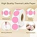 PALAIBEIQI 1 Inch Round Thermal Sticker Labels,Color Dot Stickers,Label Stickers,Waterproof,Oil Proof,for Thermal Printers,DIY,Office,Retail,Home and Warehouse Organization(Pink,1000 Pcs)