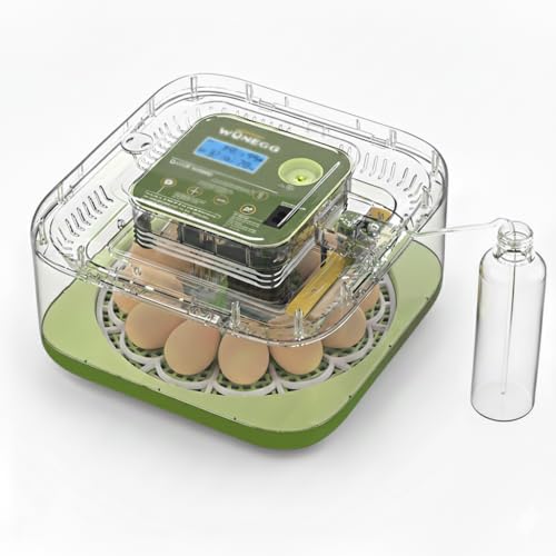 Egg&Co Couveuse Automatique 12 Œufs de Poule 35+ de Caille/Oiseau, Incubateur avec Contrôle d'Humidité, Retournement Automatique et Mire-Œuf. Flacon...