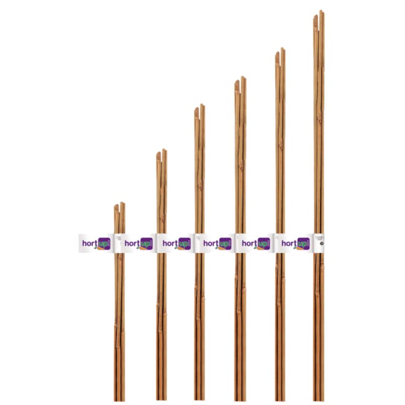Intermas – Natural Bamboo, 1.50 cm, pack of 2 pieces.
