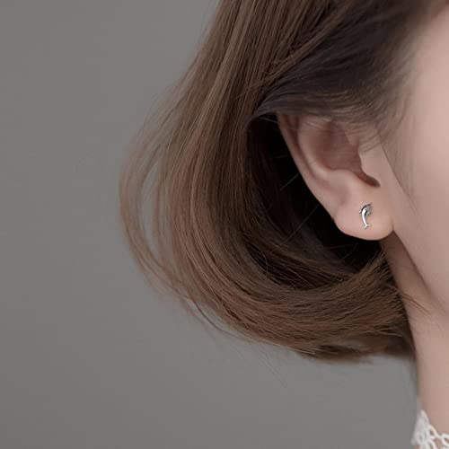 Boucles d'oreilles dauphin argent 925 véritable d'une brillance pure