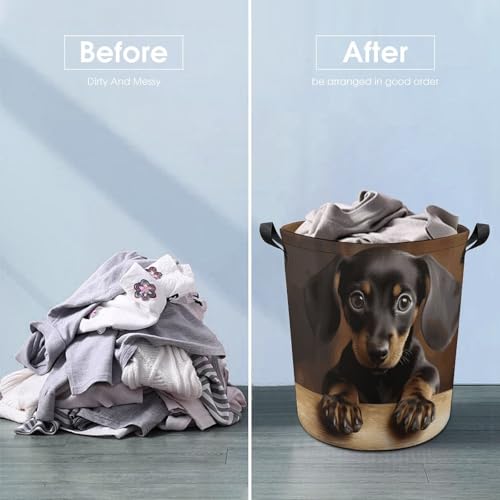Panier à linge pliable teckel idéal pour la chambre
