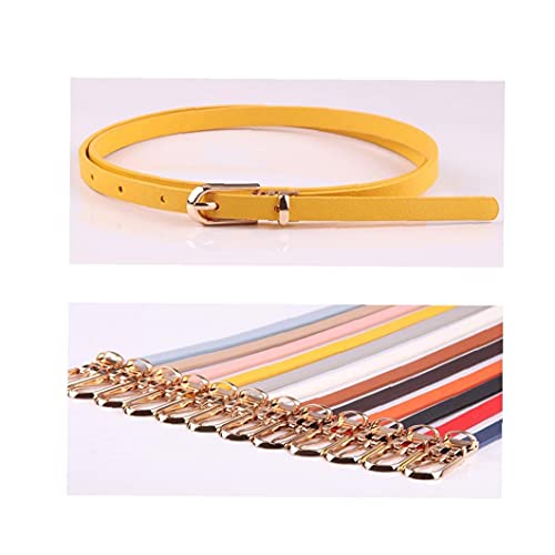 Women's Skinny Belt Color Slender Waistband Thin Leather Waist Strap for Dress Paints Casual Decor(Yellow)3