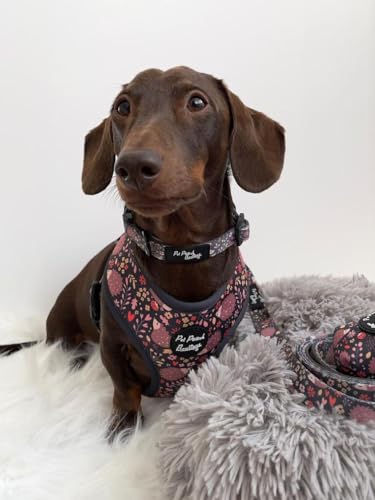 Woodland Hedgehog Dog Harness M, Brown, medium - Image 2
