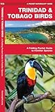 Trinidad & Tobago Birds (Nature Observation International)