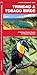 Trinidad & Tobago Birds: A Folding Pocket Guide to Familiar Species (Wildlife and Nature Identification)