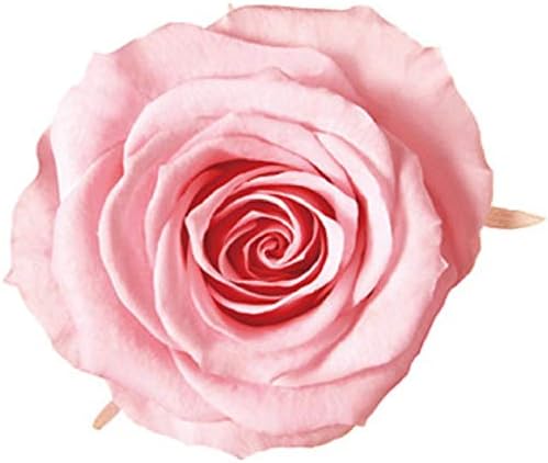 Millennium Art Vermeil Eineness Mini 9 Bubbly, Baby Pink