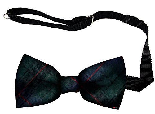 Noeud papillon homme Davidson Tartan pour cérémonies et mariages