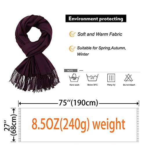 Image of RIIQIICHY Women's Fringe Shawl Wrap Pashmina Scarf for Wedding Evening