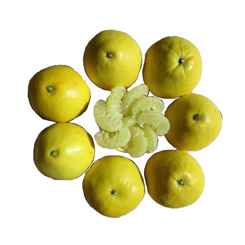 Farmer's Market ひなた 土佐文旦 6kg