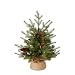 National Tree 2 Foot Feel Real Nordic Spruce Tree with Cones, Red Berries and 50 Battery Operated Warm White LED Lights with Timer in Burlap Base (PENS1-355-20-B1)