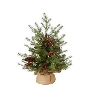 Nationaltreecompanyprelitfeelrealartificialminichristmastreegreennordicsprucewhitelightsflockedwithpineconesredberriesincludesburlapbagbase3feet Urban Country Home Decor National tree company pre lit feel real artificial mini christmas tree green nordic spruce white lights flocked with pine cones red berries includes burlap bag base 3 feet urban country home decor