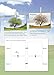 KS1 Disc & Learn Scie Study & Activ Yr 1