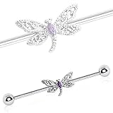 Amelia Fashion 14 Gauge Ornate Dragonfly Industrial Barbell Cartilage 316L Surgical Stainelss Steel (Steel & Purple CZ)