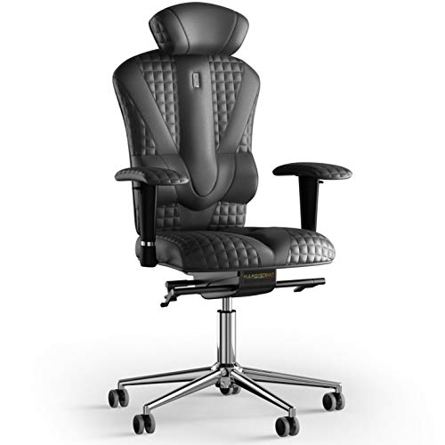 Black Ergonomic Chairs