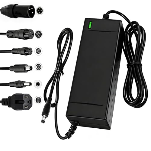 SGS Certified 54.6V 2A Fast Electric Bicycle Charger for 48V Ebike Battery - Fast Charging,...