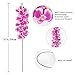 IPOPU 37.4 in Orchids Artificial Flowers 4 PCS Pink Flowers Long Orchid Stems Real Touch Flowers Faux Artificial Orchid for Home Décor (Pink)