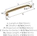 Amerock | Cabinet Pull | Champagne Bronze | 6-5/16 inch (160 mm) Center-to-Center | Renown | 1 Pack | Drawer Pull | Cabinet Handle | Cabinet Hardware