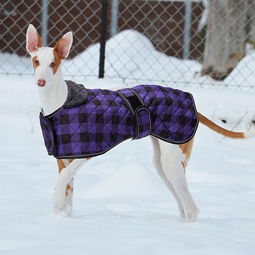 Geyecete Wasserdichter Hundemantel,Windhund Mantel,Whippet Hundejacke Winter,mit Warmem Fleecefutter innen,Verstellbaren Outdoor Hundebekleidung für Windhunde/Lurcher/Whippet-Kariert Lila-L