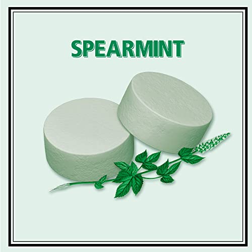 Image of Altoids Spearmint Mints, 1.76 Ounce (12 Packs)