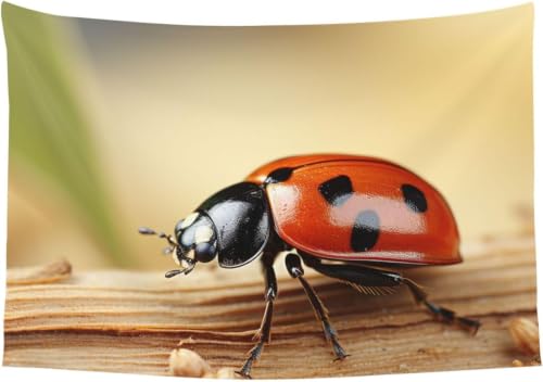 Wall art tapestry insectes décoration murale grand format chic - 2