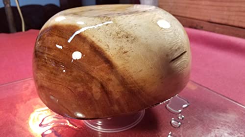 MAX CLR THIXO Food Safe Clear Coating -FDA Compliant Coating Or Glue For Direct Food Contact Use -Thickened 4 Vertical Application, Less Runs & Drips, Wood Turned Cups Bowls Mugs & 3D Printed Plastics