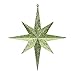 Vickerman 12" Lime Glitter Bethlehem Star 2/Bag