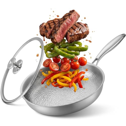 CYPHERTAN Titanium Frying Pan 11 Inch with Lid, Hammered Induction Skillet - image 1