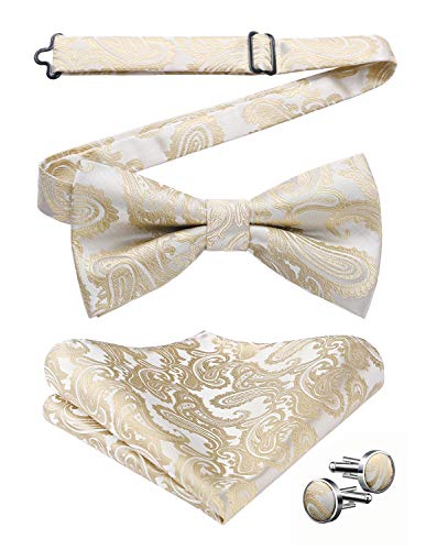 Image of HISDERN Bow Ties for Men Pretied Bow Tie Set Paisley Classic Bowties and Pocket Square Cufflinks Set for Wedding Party