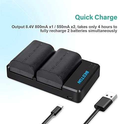Beston 2-Pack Lp-E6 Lp-E6N Battery And Charger For Canon Eos R 6D 7D 60D 70D 80D 90D, 5D Mark Ii Iii Iv, 6D Mark Ii, 7D Mark Ii, 5Ds R, Xc10 Xc15 Camera #TOP3