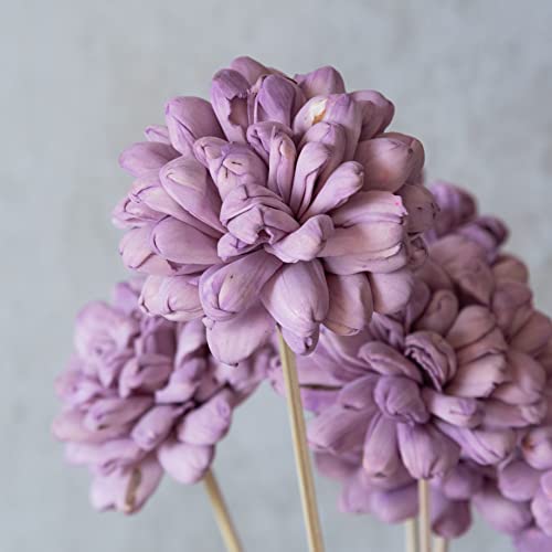 Image of 10 pcs Sola Fancy Flowers On Stem |8 cm Eco-Friendly Flowers for Home, Office, Bedroom, Table Decoration and Vase Fillers(Without Vase Pot)