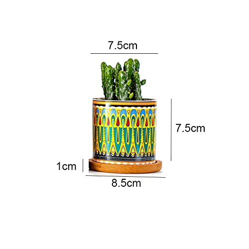 Pot de fleur pour succulente avec plateau pour éviter les fuites d'eau - 6