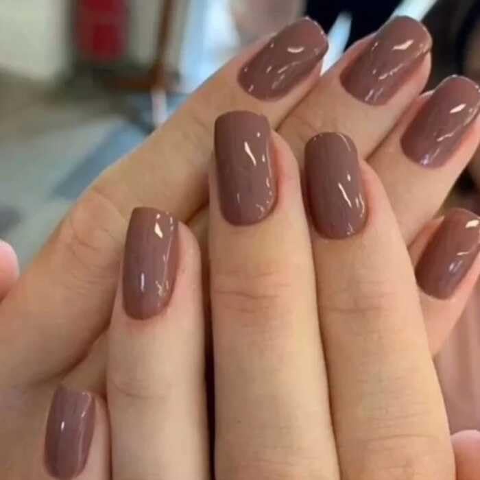 Brown Color Press-On False Nails | 24-Piece Reusable Stick -On Fake Nails Set | Easy Glue-On Application | Long-Lasting Shine | Artificial Nail Extensions for Women & Girls-image-10