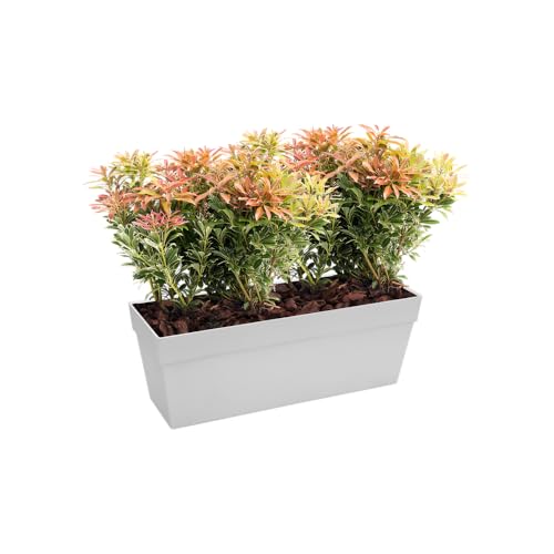 Elho Loft Urban Trough 50 - Fioriera Per Balcone Esterno - Ø 49.3 X H 18.0 Cm - Bianco/White - 8