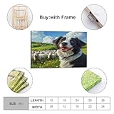 Zoom IMG-1 rndkauuie border collie stampe su Zoom IMG-1 rndkauuie border collie stampe su