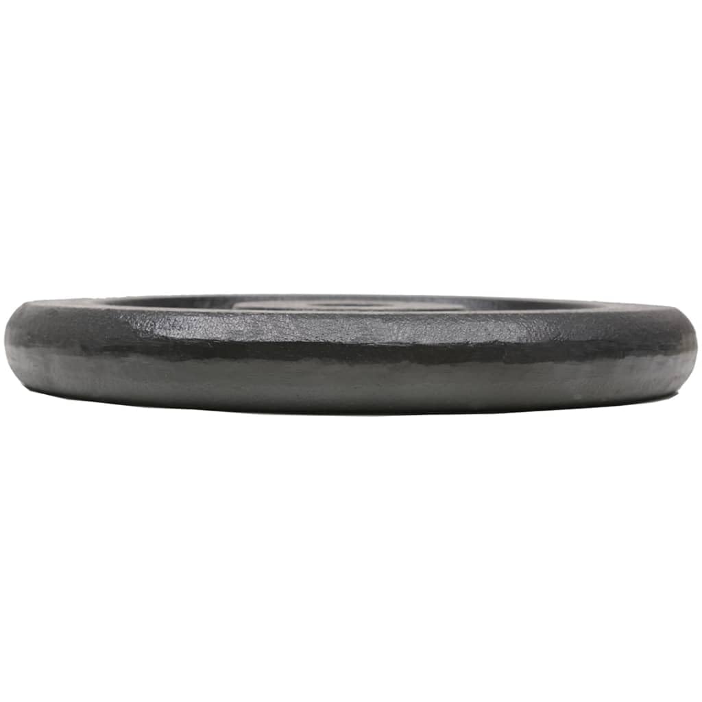 vidaXL 2/4/8x obciążniki żeliwne wiele sztuk i modeli