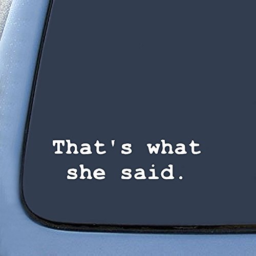 Bargain Max Decals - That's What She Said - Office Sticker Decal Notebook Car Laptop 8