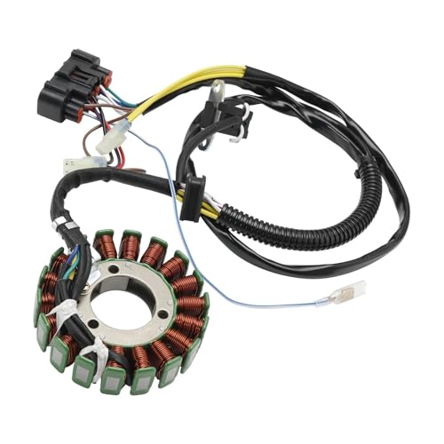Stator de magnéto 18 pôles pour pièce allumage moteur 5,5 500 mécanique