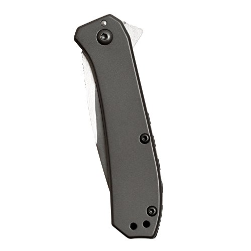 Kershaw Amplitude 2.5 (3870); Drop Point Pocket Knife With 2.5-Inch Blade In A Grey Finish; Features Speedsafe Opening, Liner Lock And Reversible Pocketclip; 3.2 Oz. #TOP4