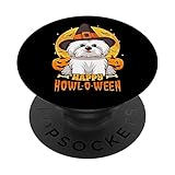 Halloween N Coton de Tulear