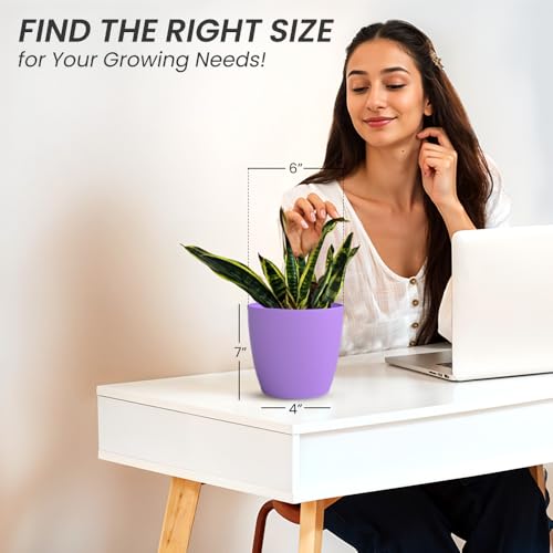Image of YUCCABE ITALIA SHERA Stella 6 Inch Plastic Plant Pot for Home Decor Indoor Plant Pots for Living Room Plastic Flower Pot for Garden (Lavender, 6 INCH - 6 Pcs)