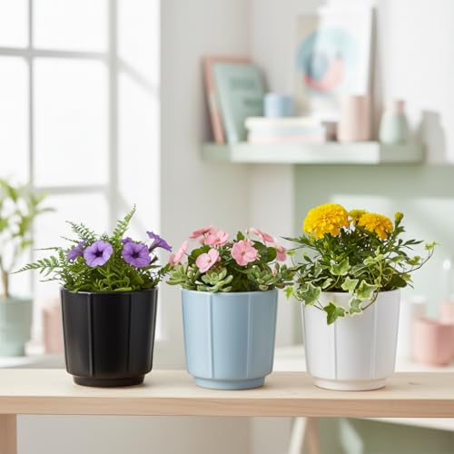 Xtore® 3 Pc Refined Minimalist White Ceramic Planter Pot for Indoor Plants & Tabletop Styling | Clean Cylindrical Form for Desk, Shelf & Home Décor (Pack of 3, Planters only)