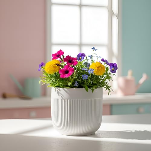 Image of Xtore Refined Ceramic Ribbed Planter with Base | Medium Round Plant Pot for Desk, Shelf & Corner Decor - (White, 1 Piece, Planter ONLY)