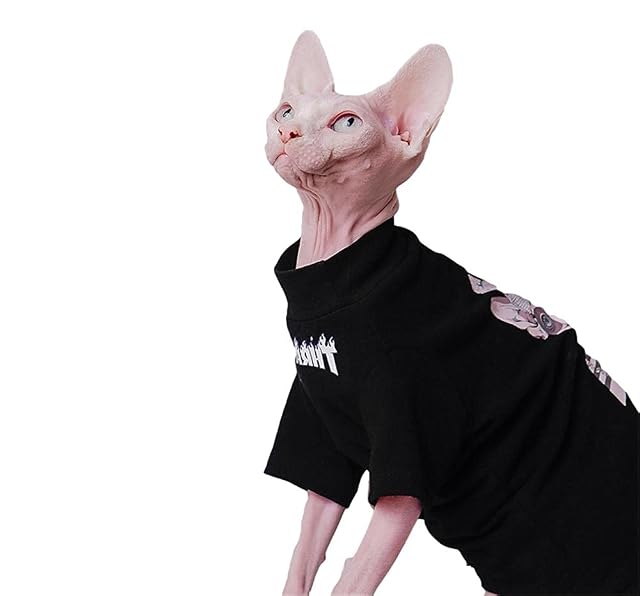 ZHIHAN Sphinx Gato Ropa sin Pelo Gato Camiseta Chaleco Primavera y Verano Negro, Camiseta con Mangas, S